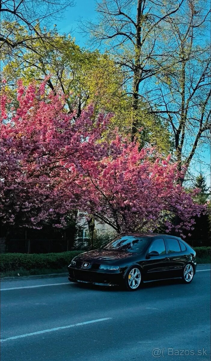 Seat leon Cupra 1.9tdi 110kw - 7