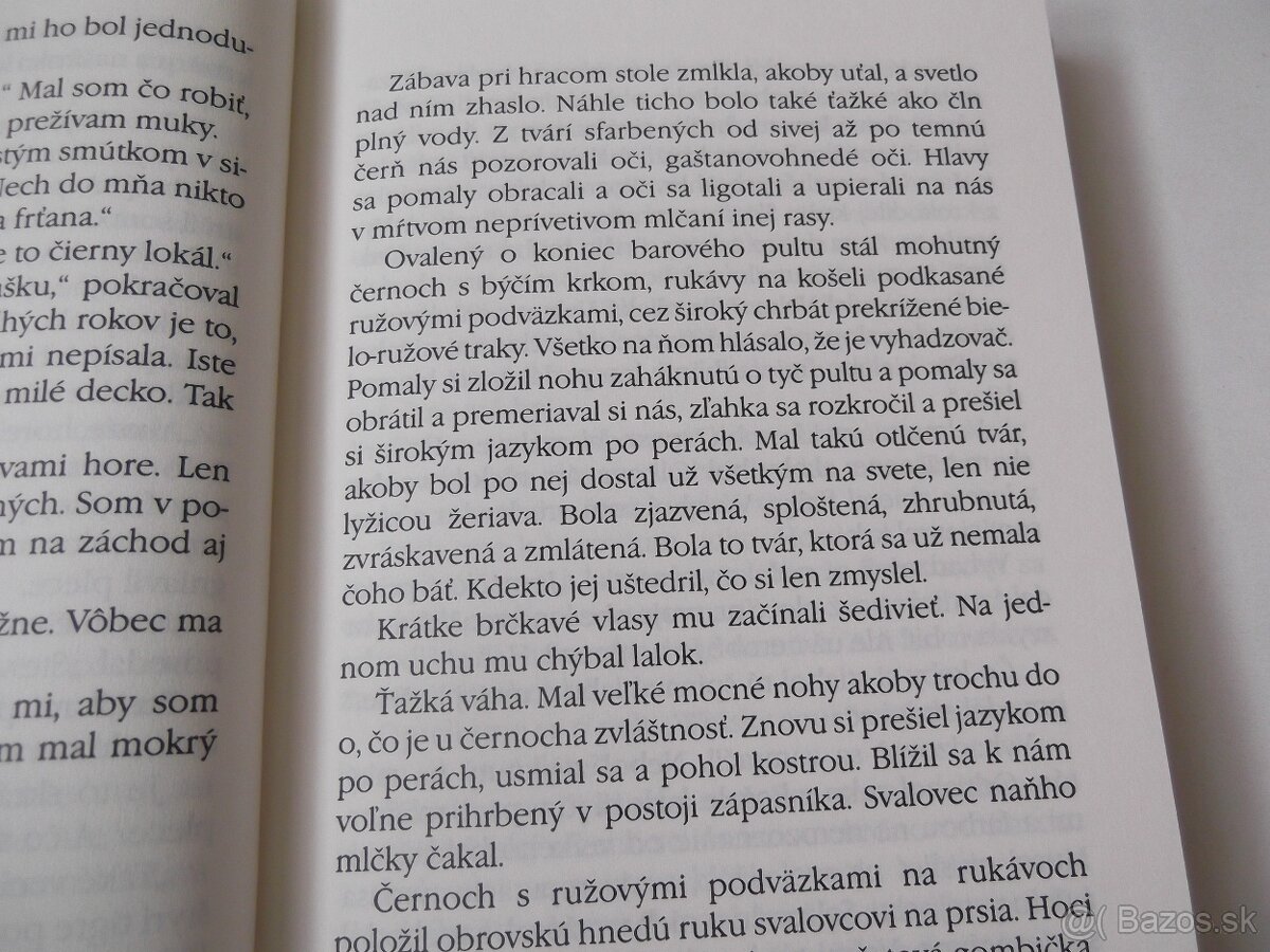 Raymond Chandler-Zbohom moja krásna - 7