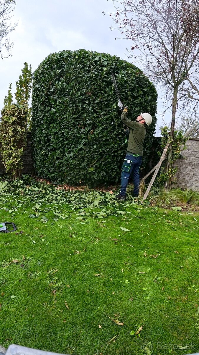 🌿 Profesionálne zimné záhradnícke služby🌿 Záhradník - 7