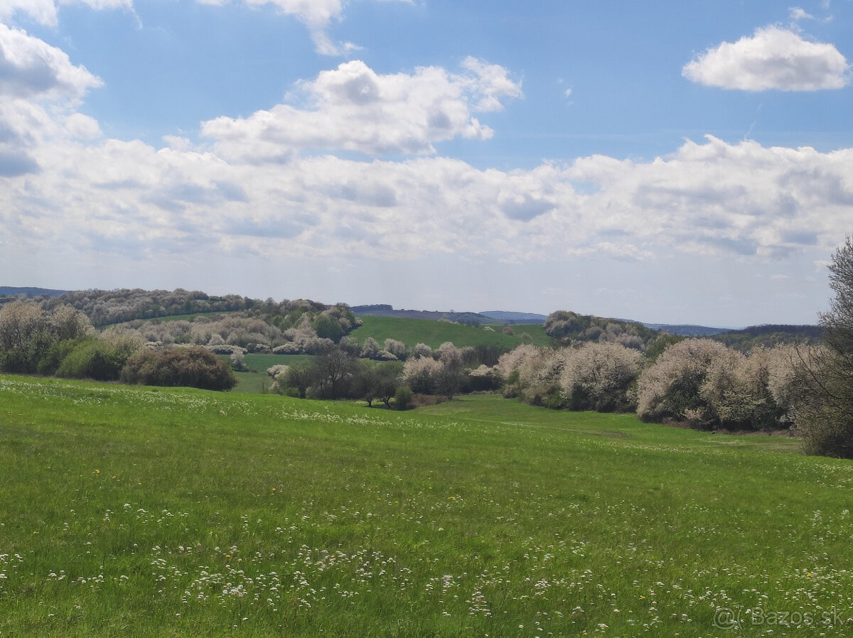 Predám usadlosť na polosamote - 7