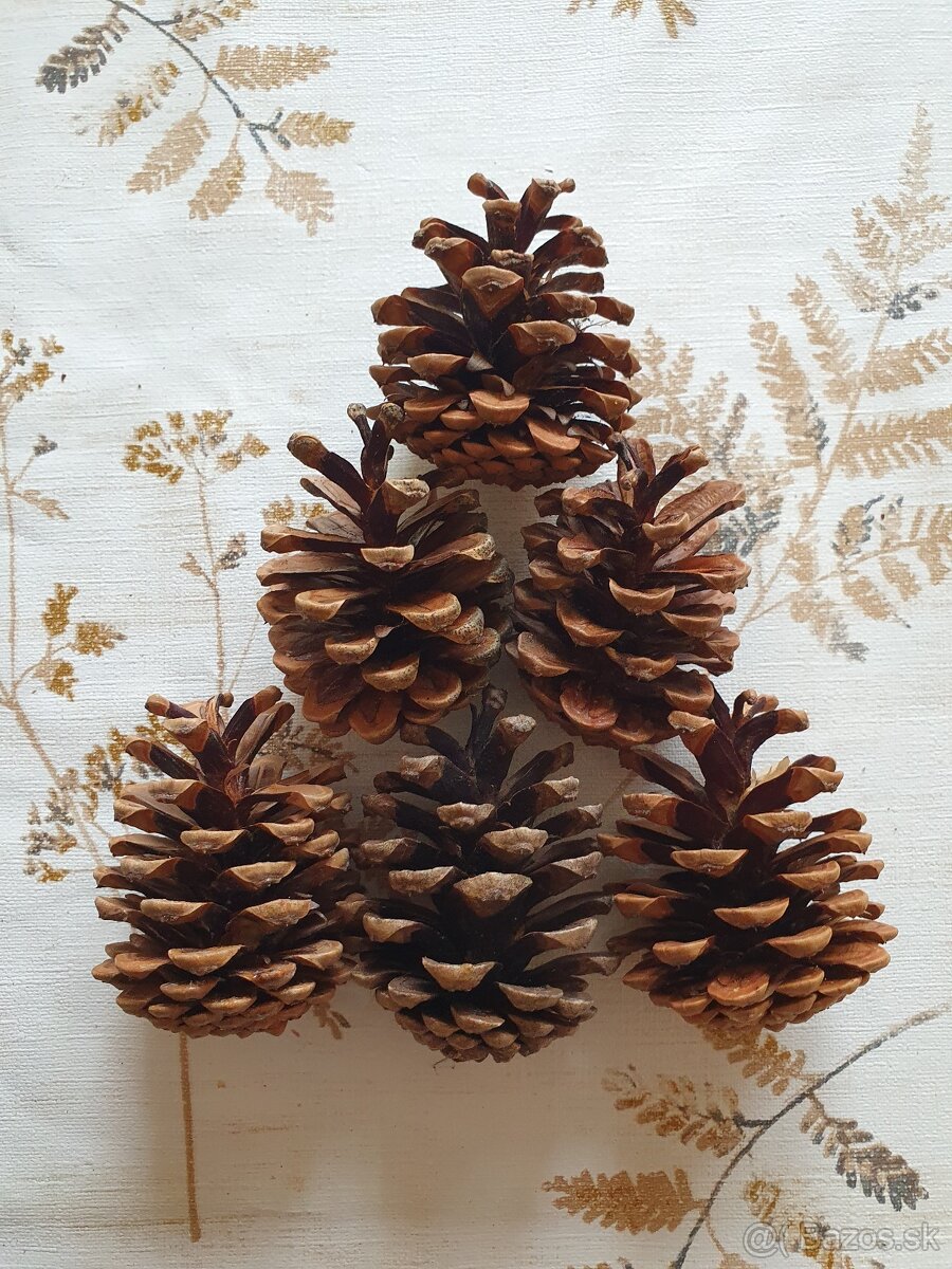 Vetvicky a sisky na adventne vence / dekoracie - 7