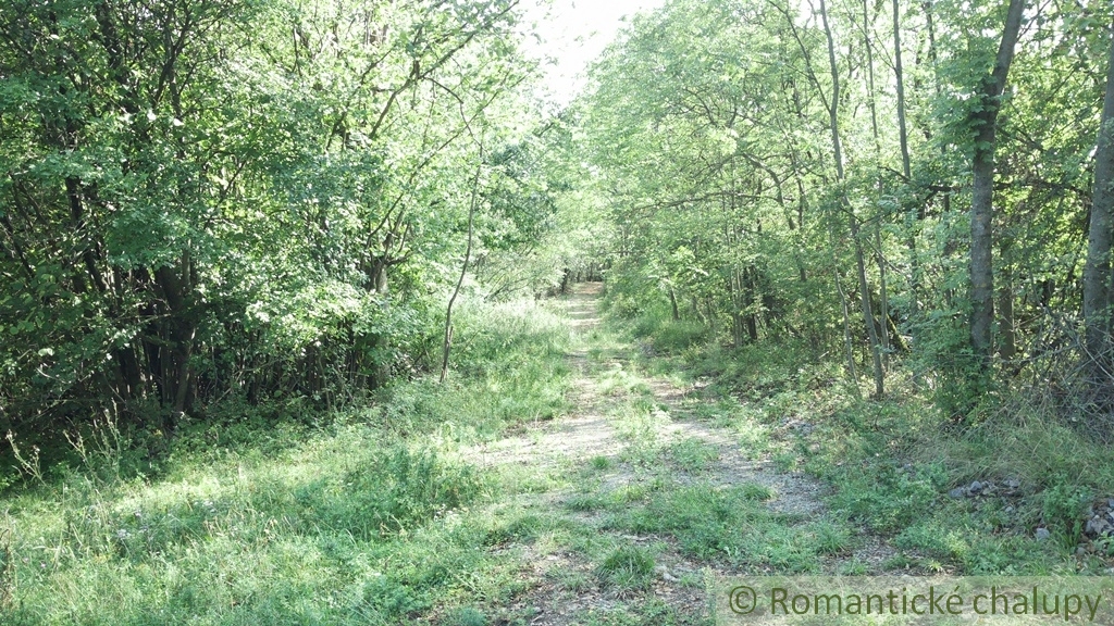 VÝRAZNE znížená cenaHospodárska usadlosť na samote so 1 - 7