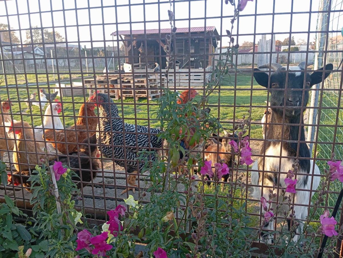 Bývajte v kľude a súkromí - 7