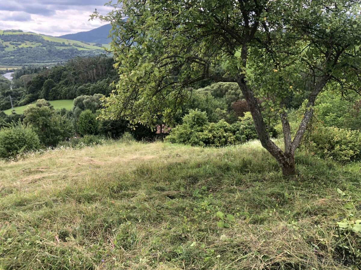 Na predaj záhrada – pozemok v záhradkárskej oblasti Istebné - 7