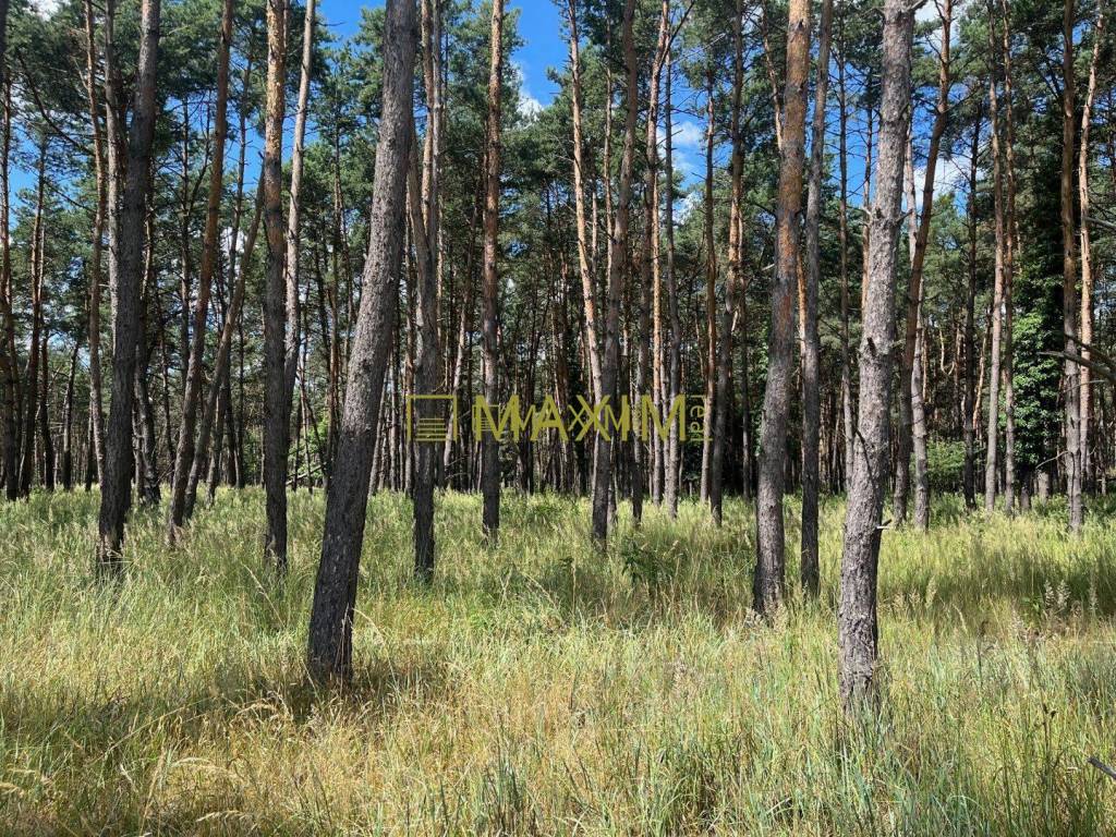 Lúka pod lesom v Jablonovom - 7