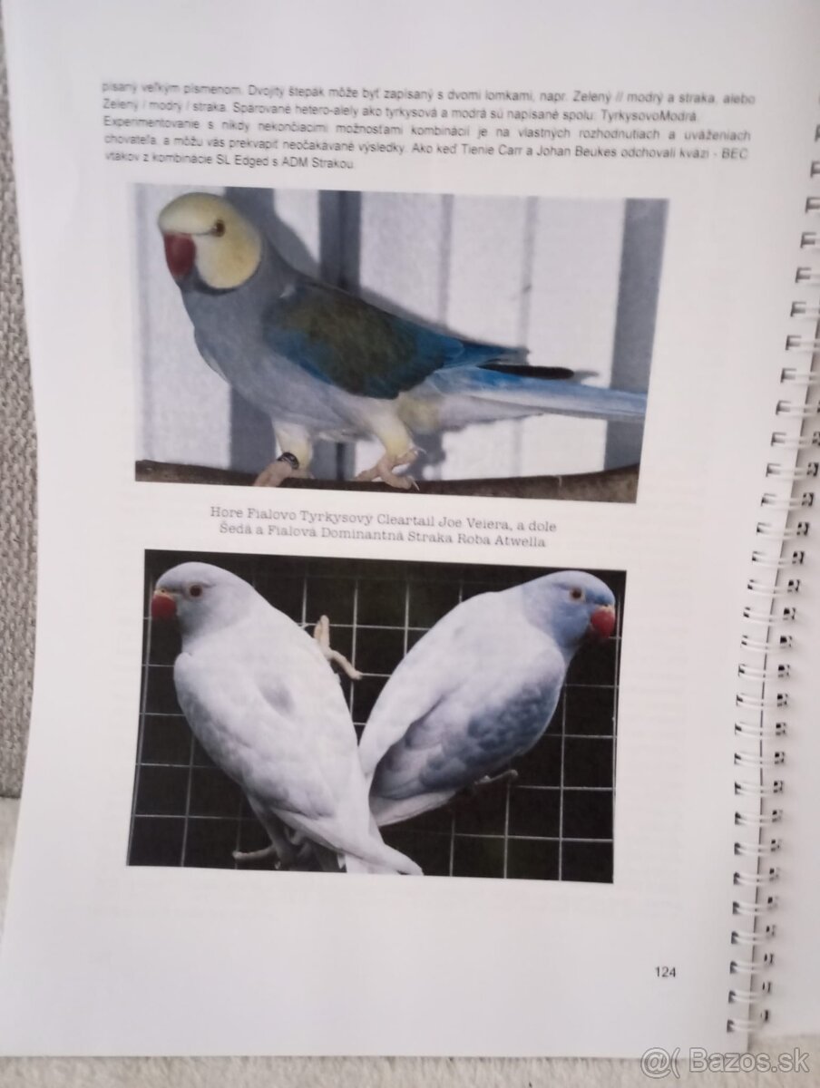 Knizka alexander maly genetika - 7