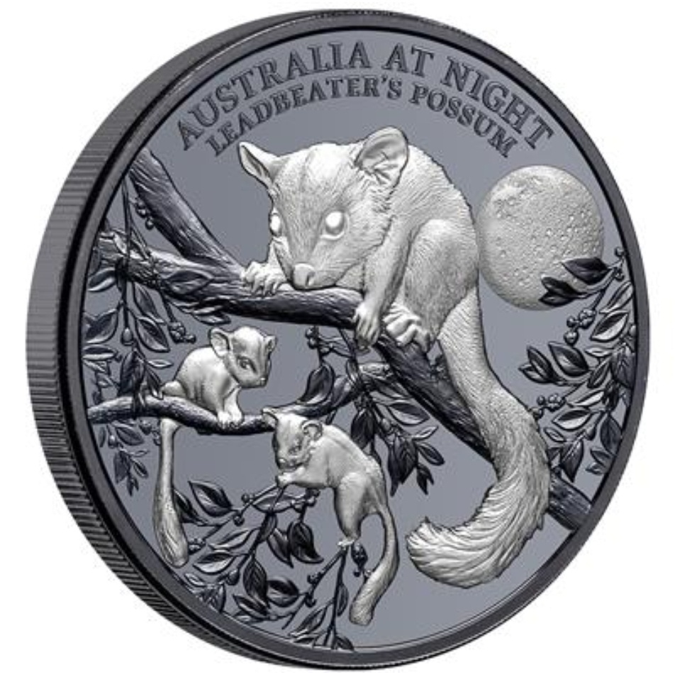 DINGO - AUSTRALIA V NOCI - investičná strieborna minca - 7