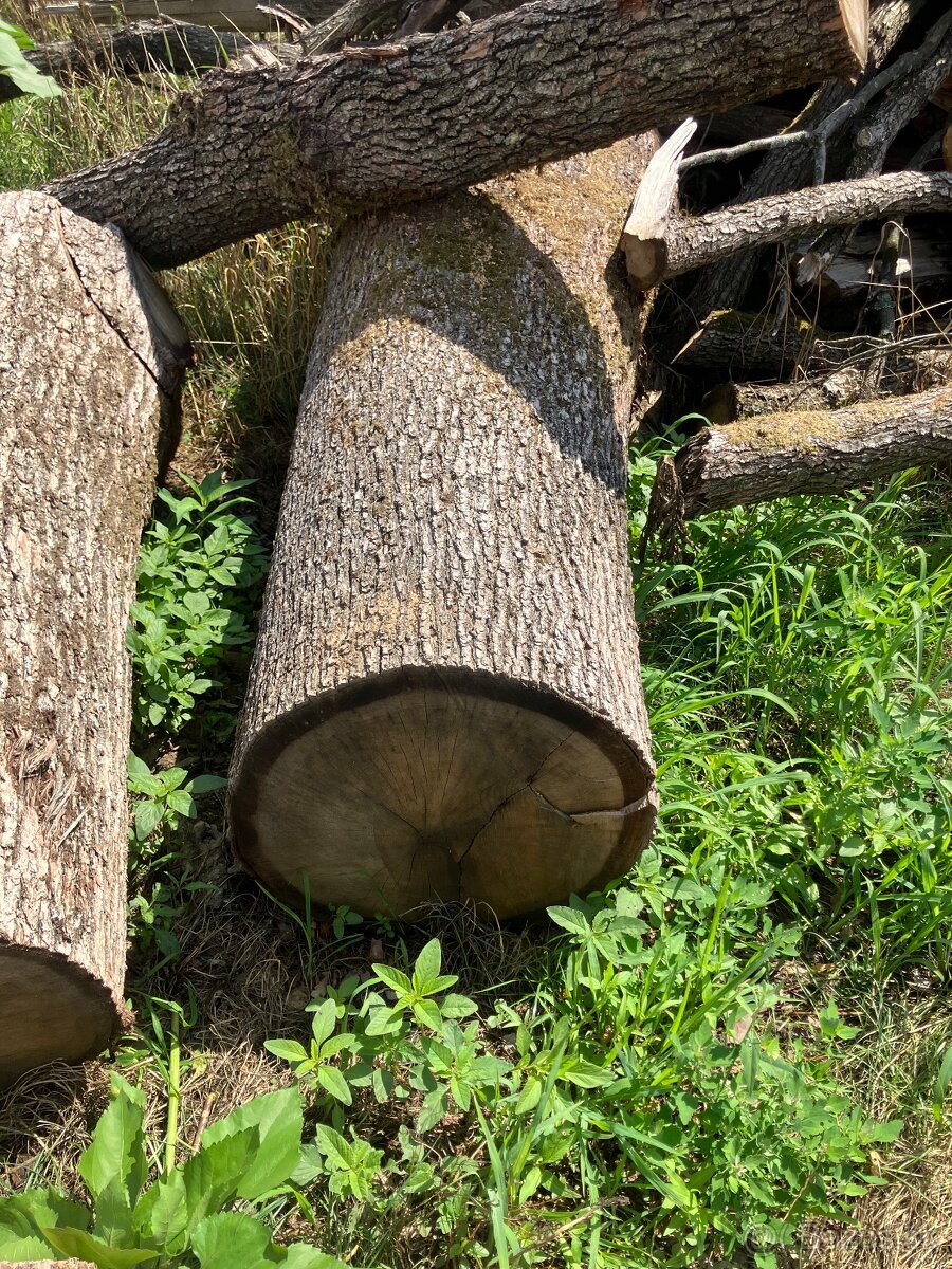 Dubovy pen=stol do exteriu - 7