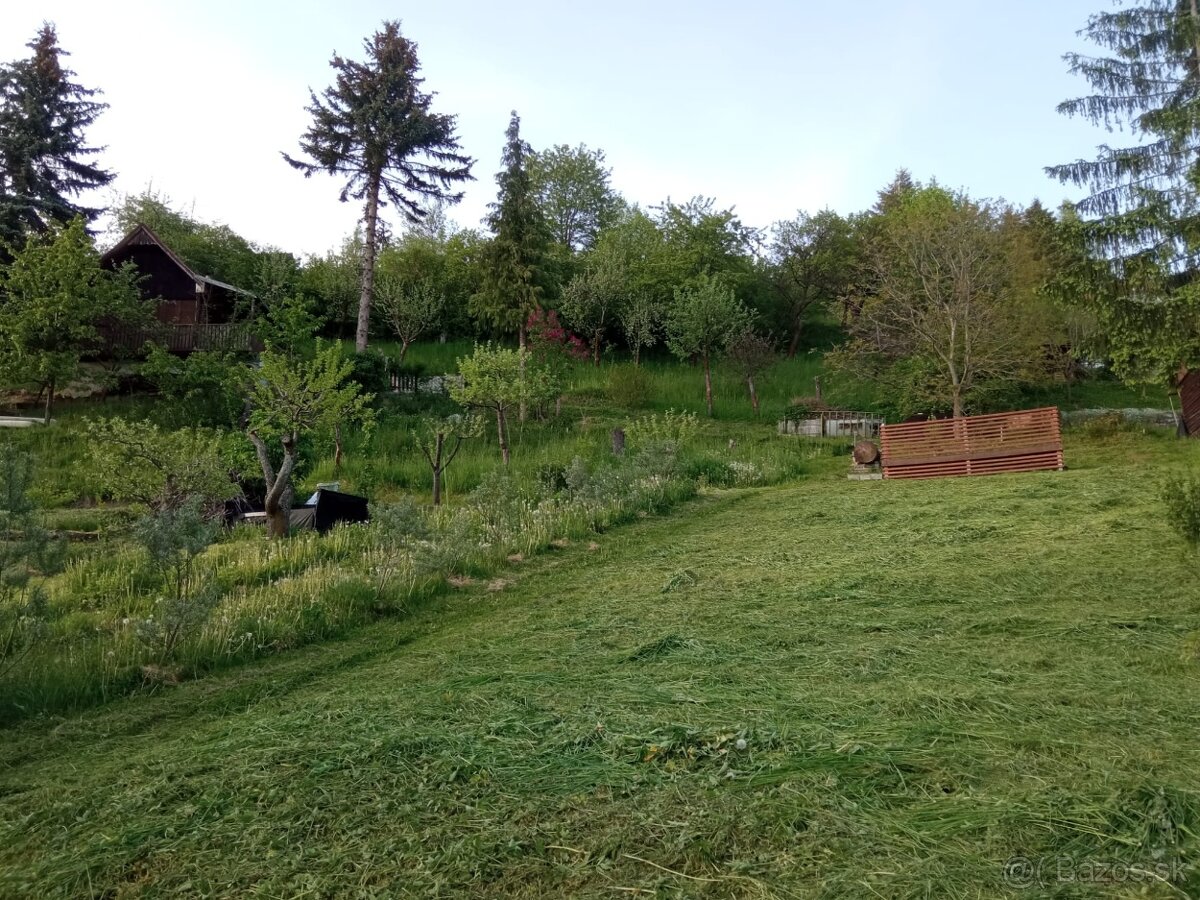 Záhrada - 7
