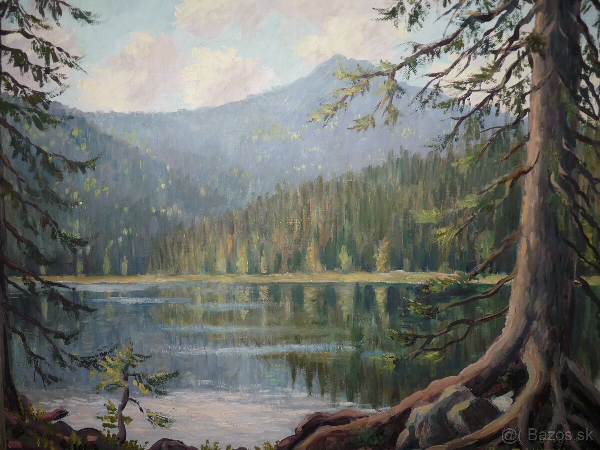 Starožitne obrazy a iné - 7