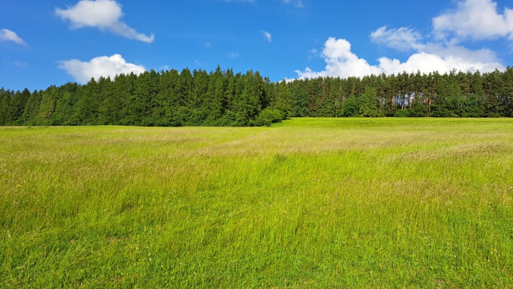 Stavebné pozemky pod Tatrami - Vlková okr. Kežmarok - 7