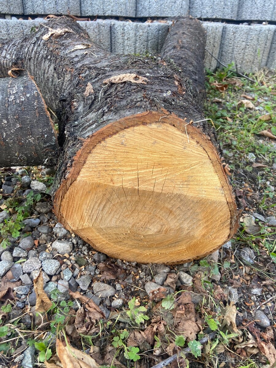 Čerešňove drevo - 7