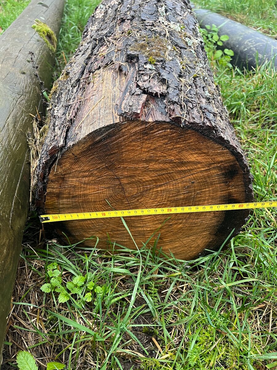 Dubová guľatina - 7