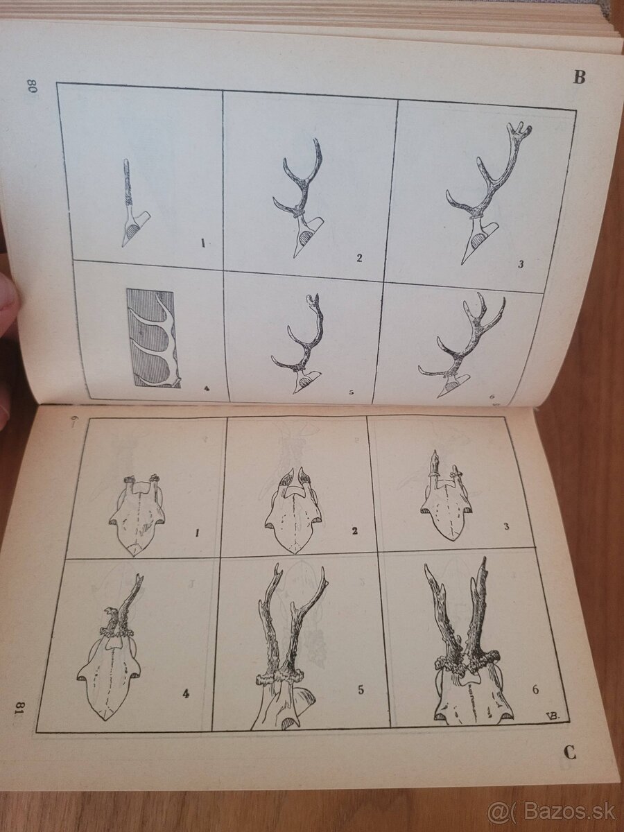Slovenská lesnícka a drevárska príručka 1943 - 7