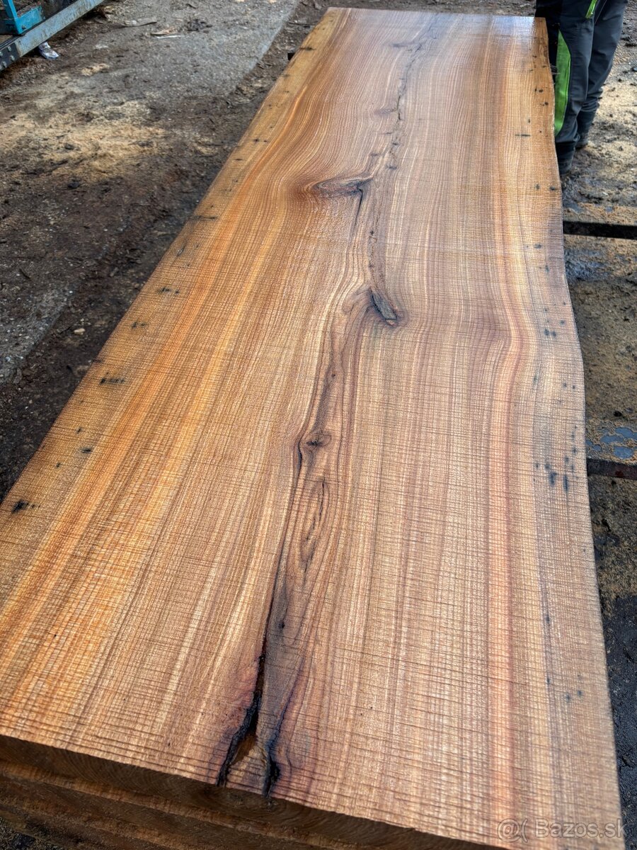 Rezivo Brest Brestove Fošne Kmene Drevo - 7