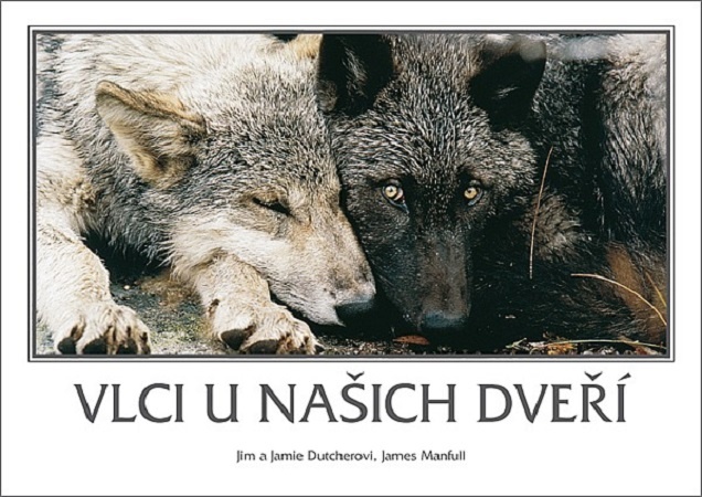 Mačky, psy, zvieratá, chov - 7