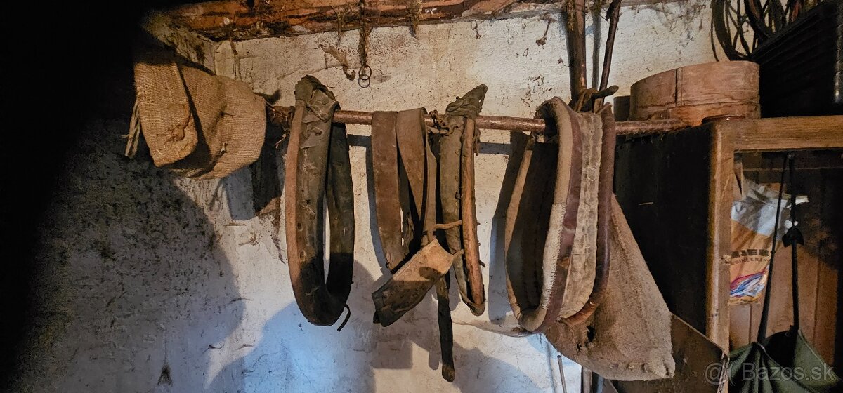 Chomunt na koňa - 7