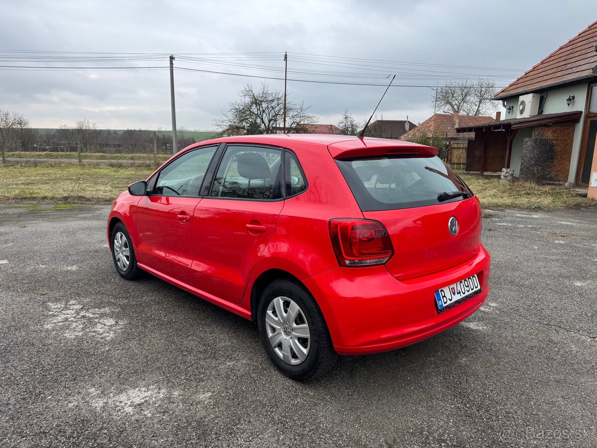 Polo - 7