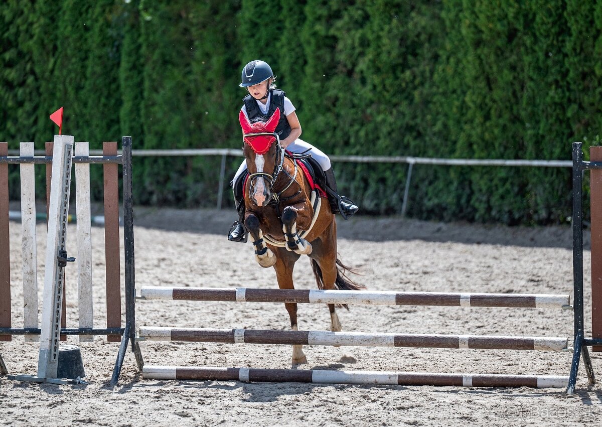 Náš Princ hledá svoji princeznu - 7