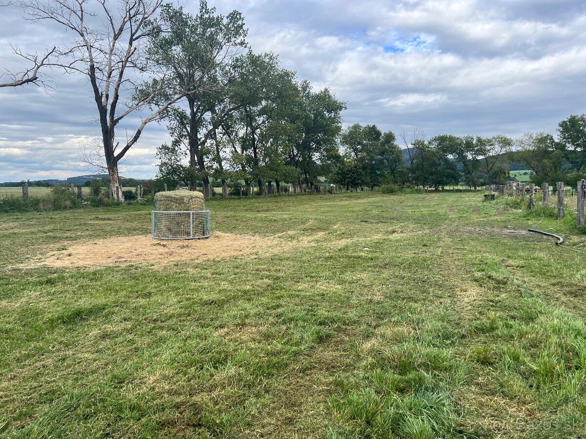 Ponúkame ustajnenie - 7