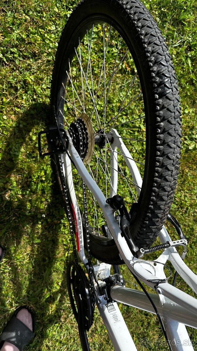 Dámsky bicykel - 7
