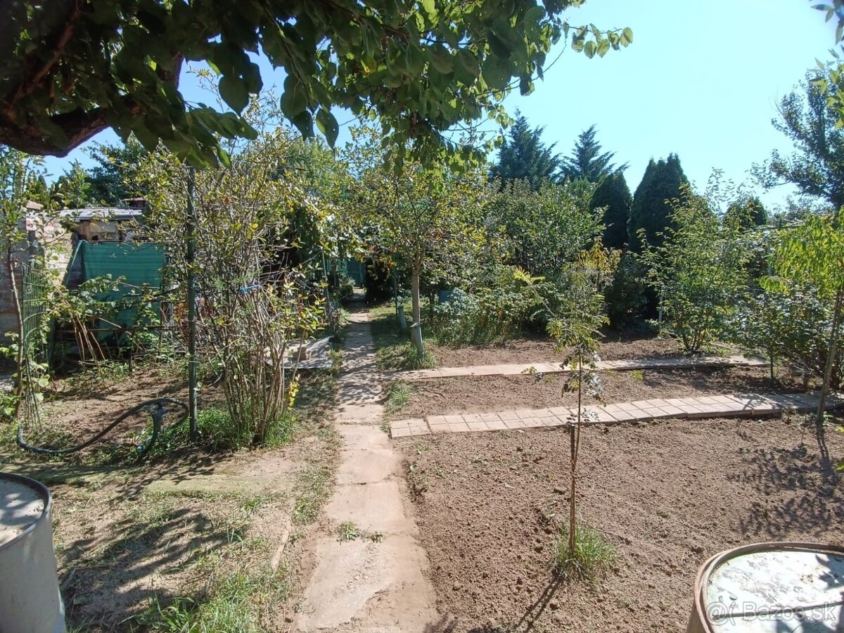 Zahrada v zahradkarskej osade v Sali - 7
