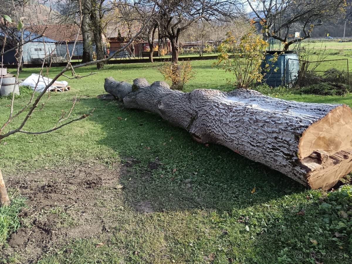 Predaj Orechové drevo - 7