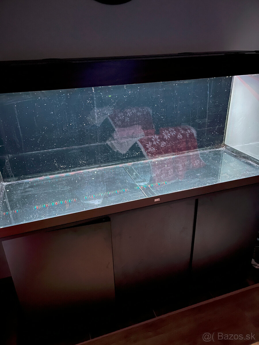 Akvárium - 7