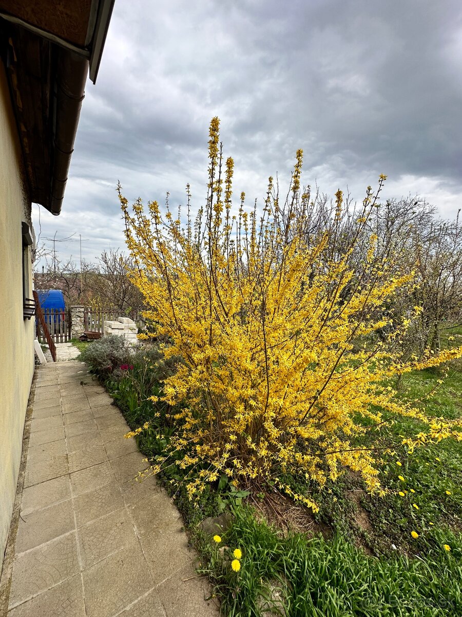 Zľava Chata so záhradou Hájky, výmena - 7