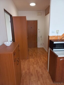 Na prenájom 1 izbový byt pri auparku - Voľný ihned - 7