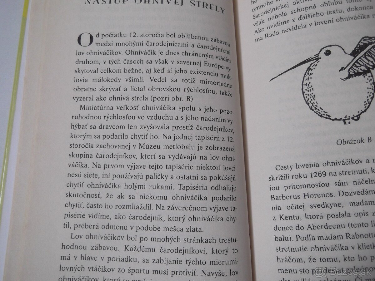 Kennilworthy Whisp-Metlobal v priebehu vekov - 7