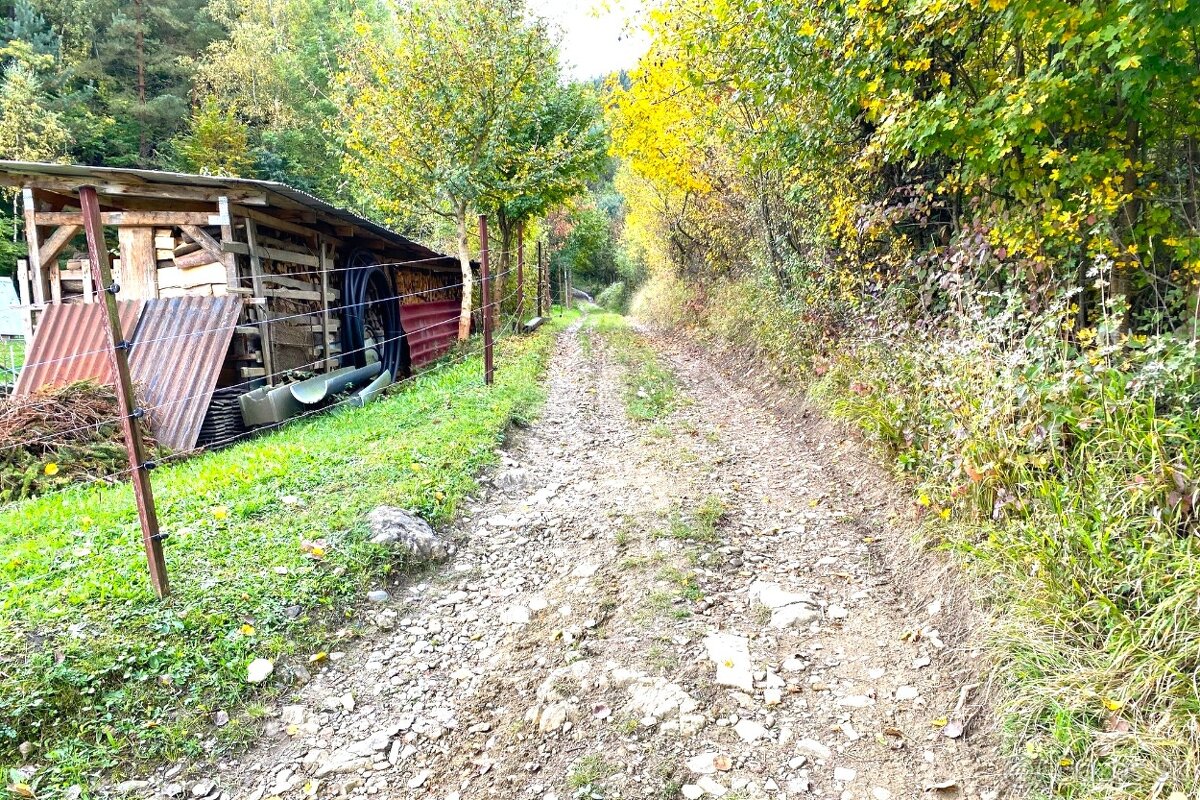 Na predaj rekreačný lesný pozemok - Brvnište. - 7
