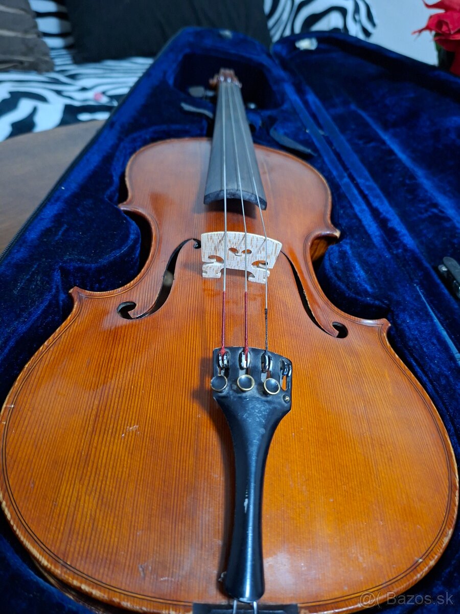 Viola - 7