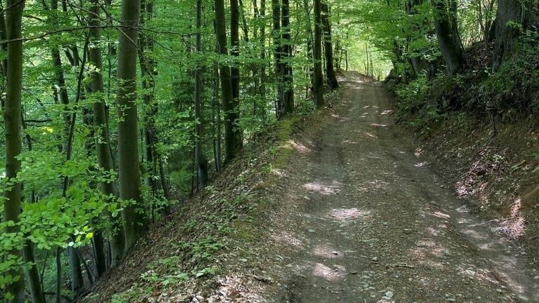 Pozemok 1336 m² s chatou (43 m²) v krásnom prostredí - 7