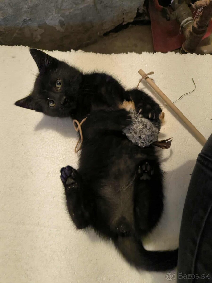 HĽADÁM SI TVOJE LÁSKAVÉ RUKY - 7