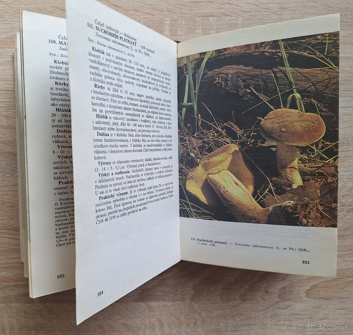 Huby lesov, poli a luk - 7