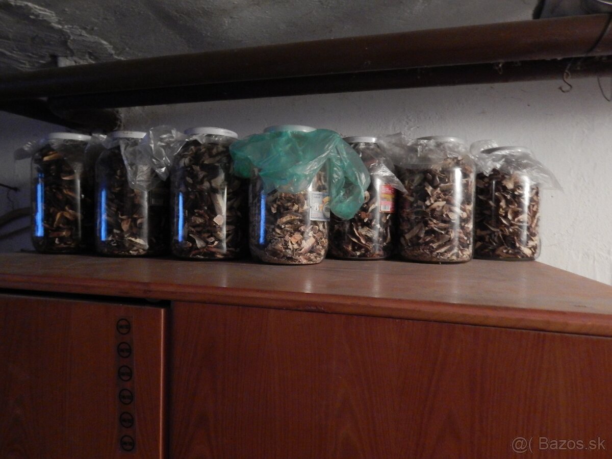 Predám sušené dubáky. - 7