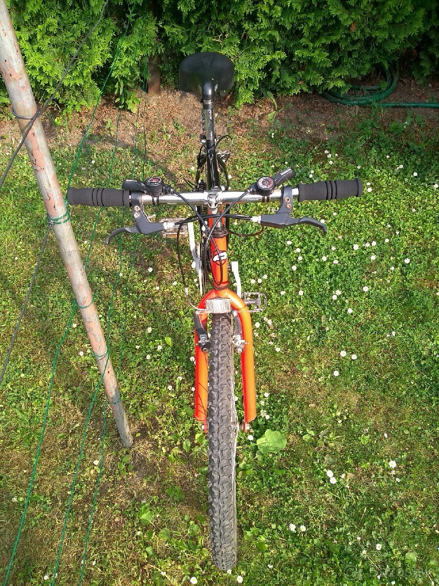 Cestný bicykel ALPINA - 7