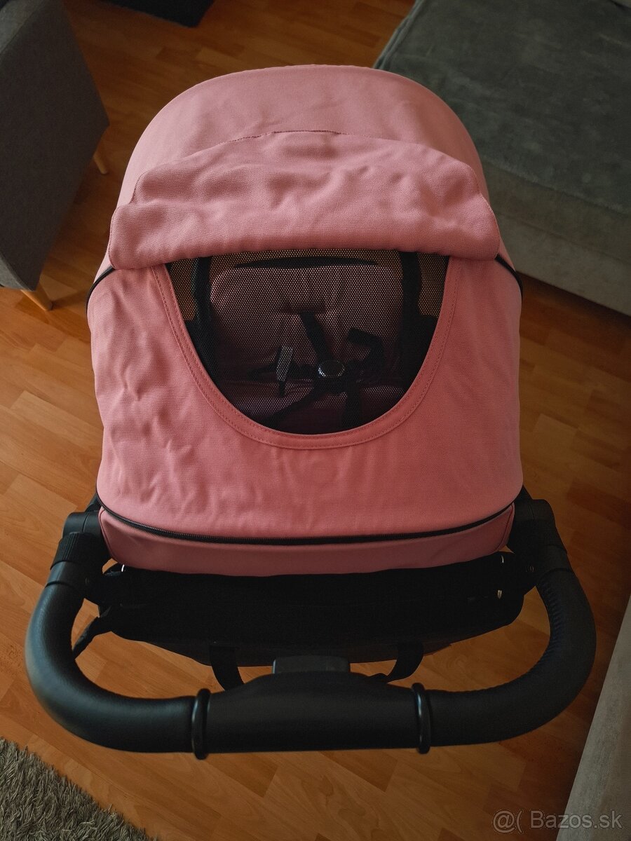 Petite Mars Royal 2 - 7