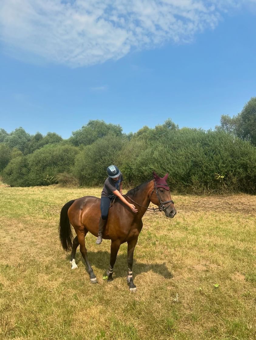 Nová cena nádherná 14r. kobyla na predaj - 7