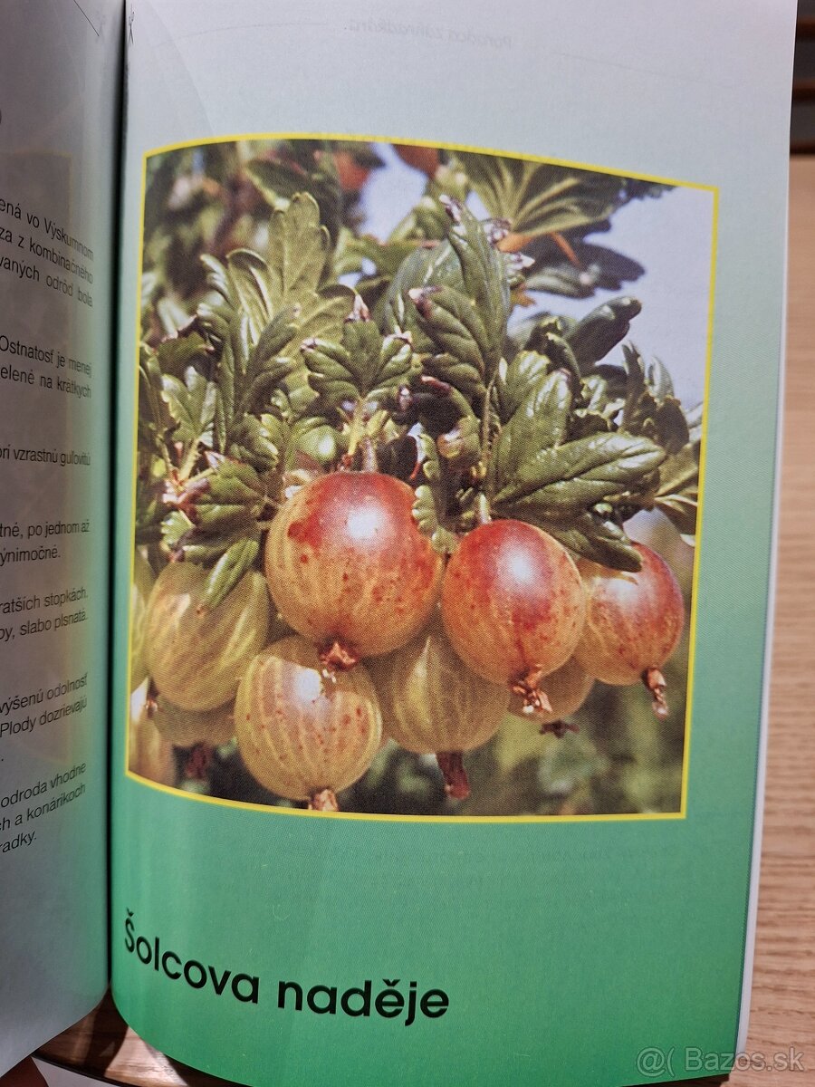 Poradca záhradkára 26 - 7