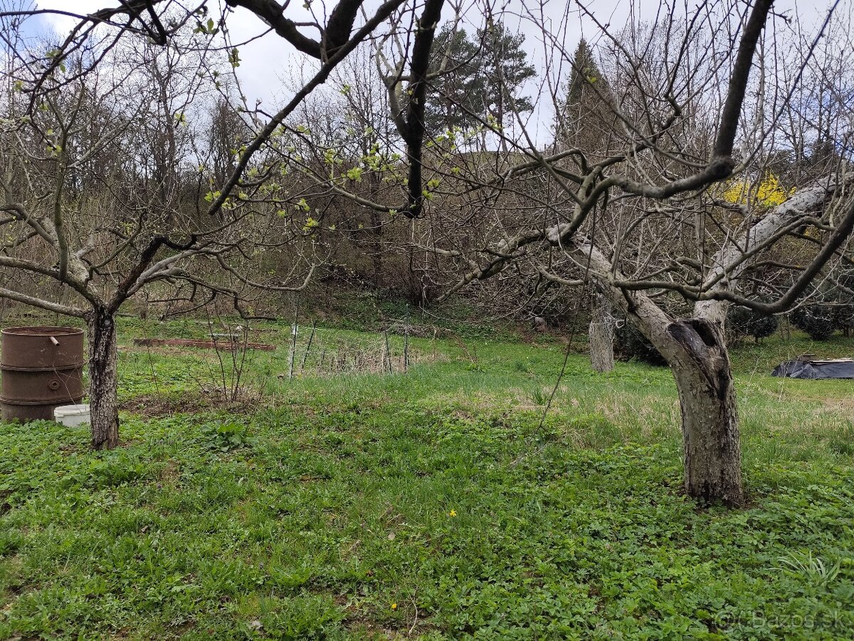 Zahradka s pivnicou - Pod Kalvariou - 7