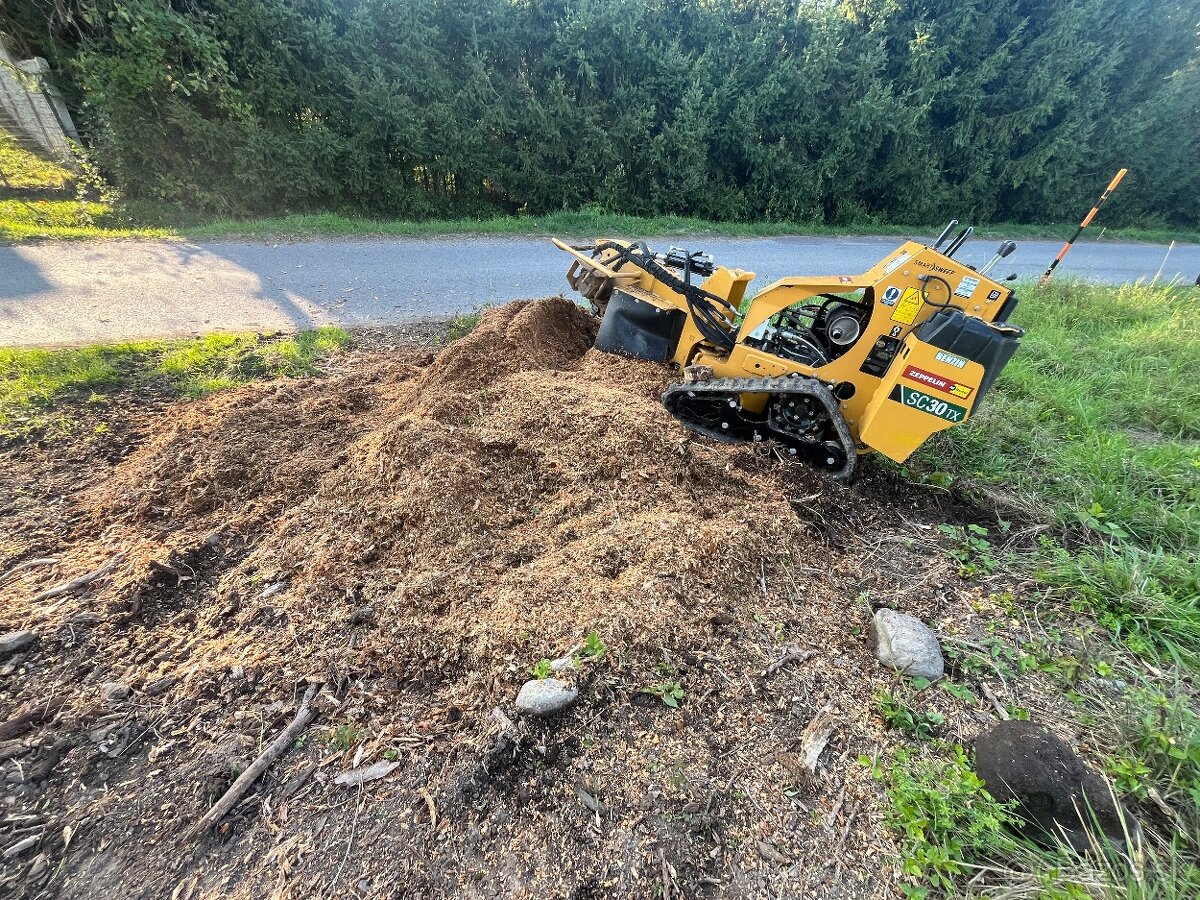 Výrub , opilovanie stromov - 7