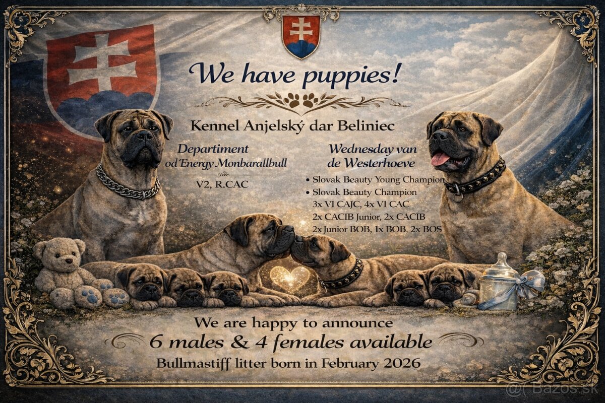 Bulmastif/ Bullmastiff s PP - 7