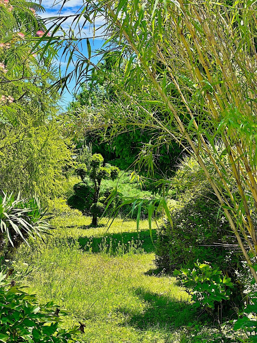 7-izb. Rodinný dom s bazénom na pozemku 5.100 m2 - 7