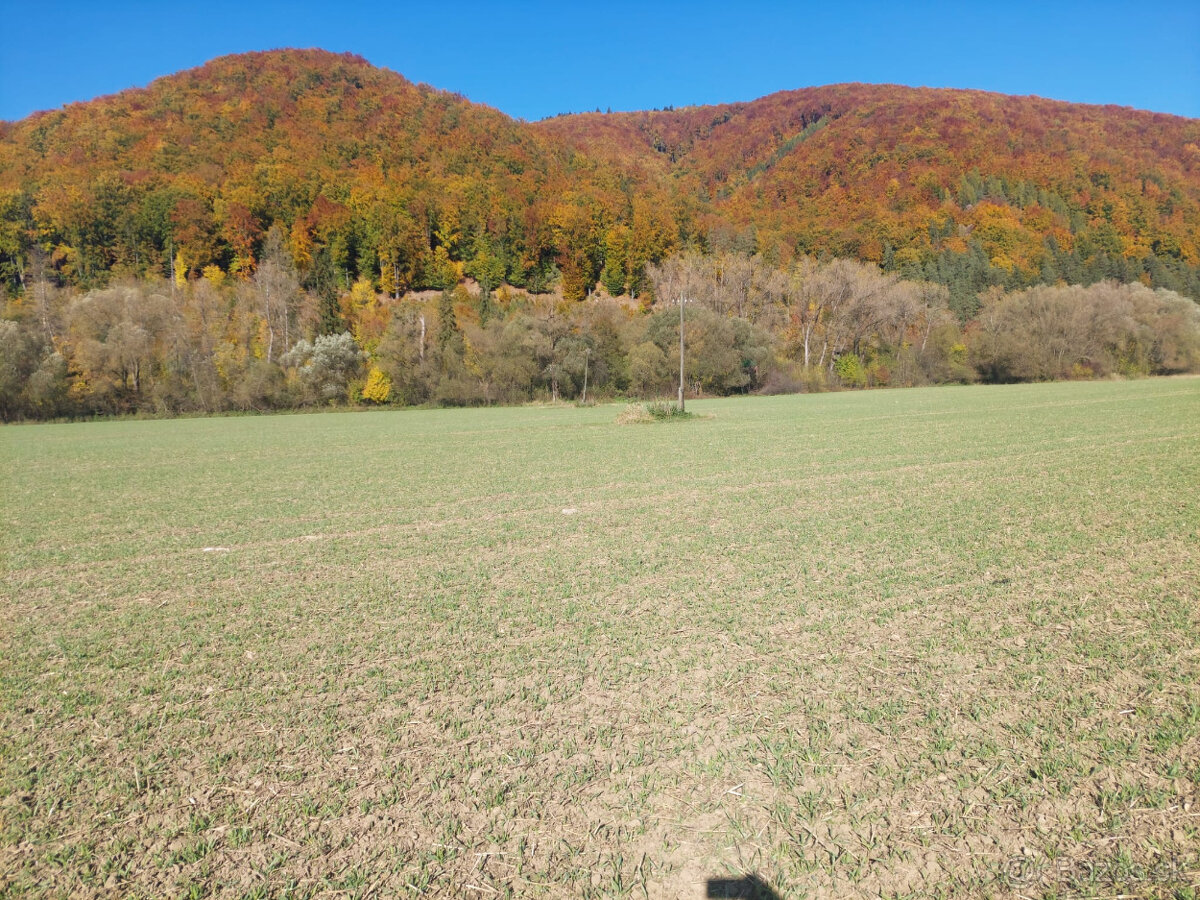 PREDAJ POZEMKU RAJECkĚ TEPLICE 1467 M2 - 7