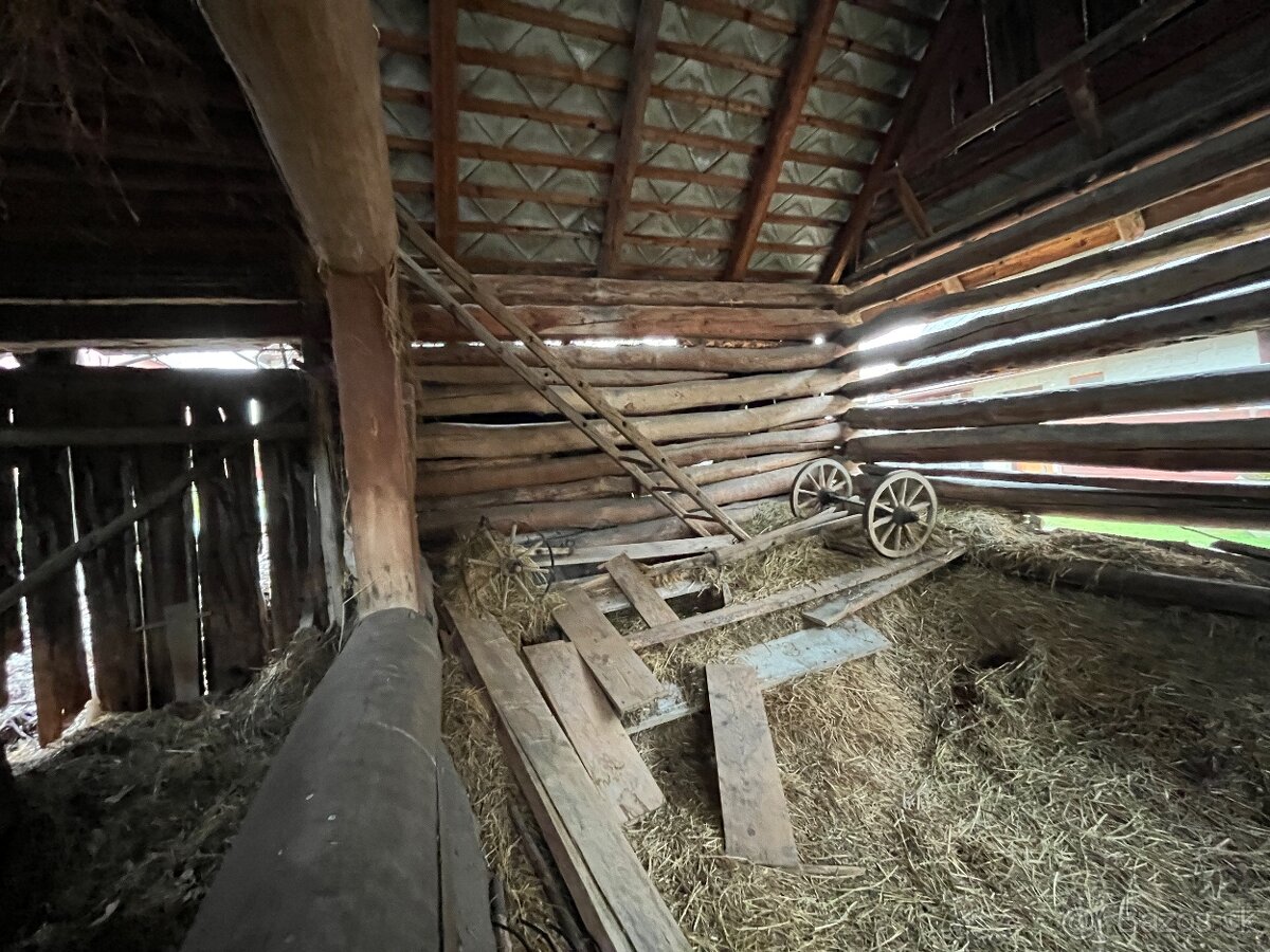 Stare drevo na predaj - 7