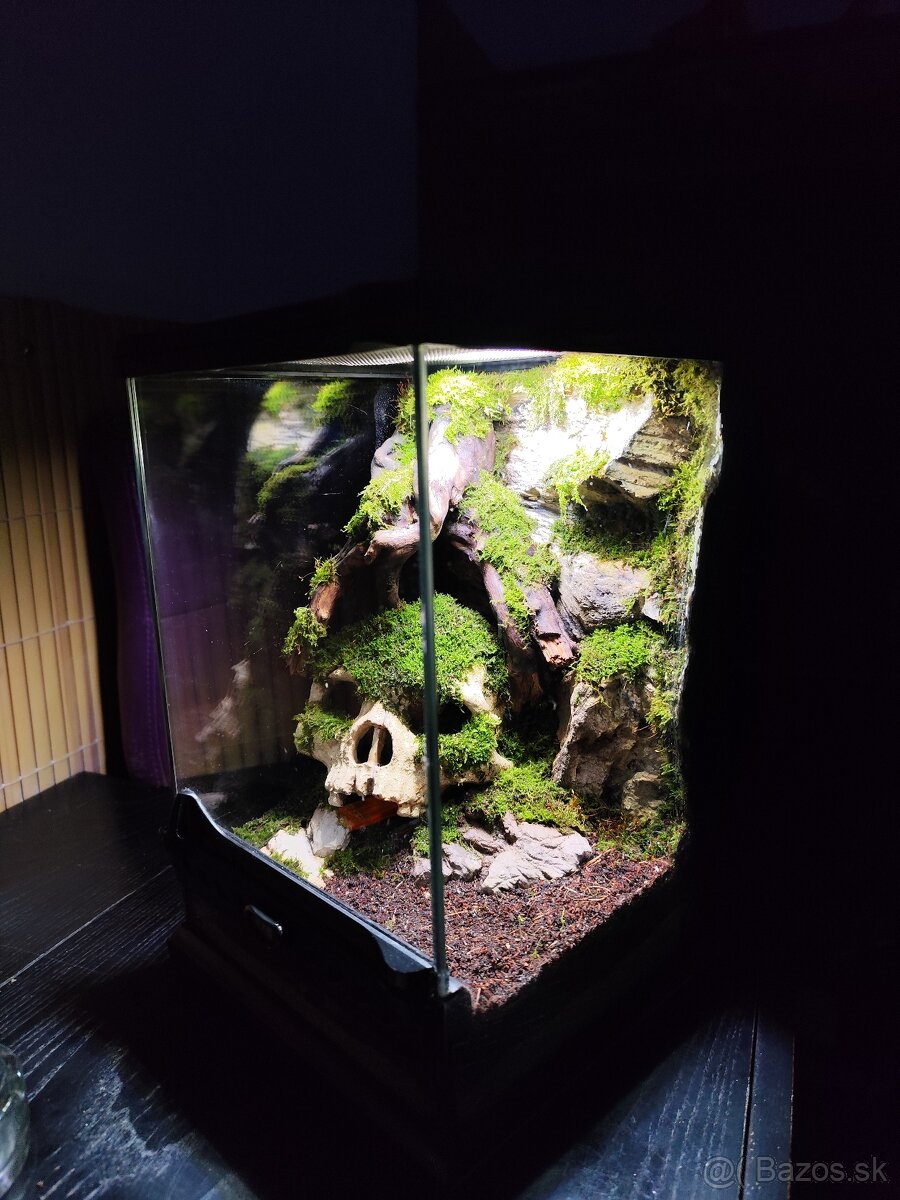 Terarium Exo terra - 7