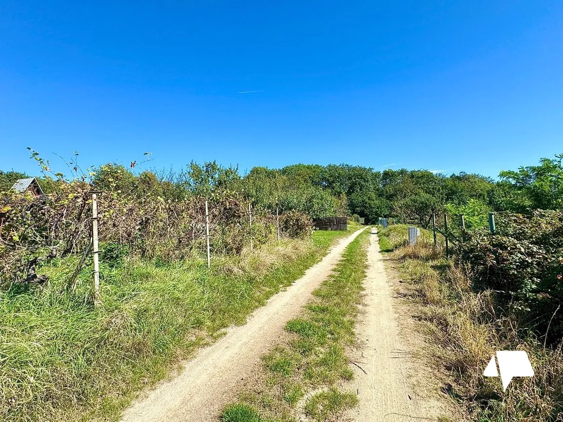 Predaj záhrada, 421 m2, Štitáre - 7