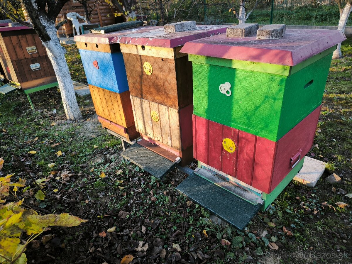 Včelstvo, včely, kompletné príslušenstvo včelára - 7